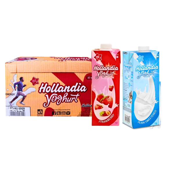 Hollandia Yoghurt (1x10)